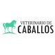 veterinariop-de-caballos.jpg